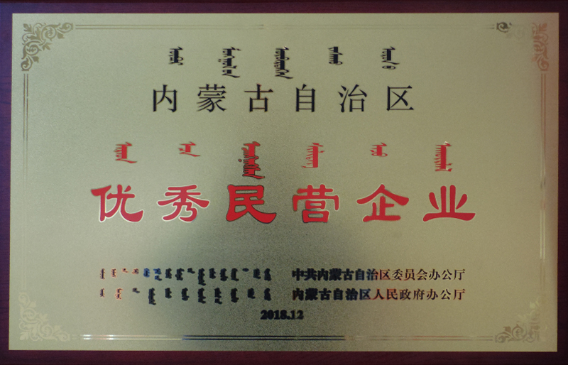 優(yōu)秀民營(yíng)企業(yè)