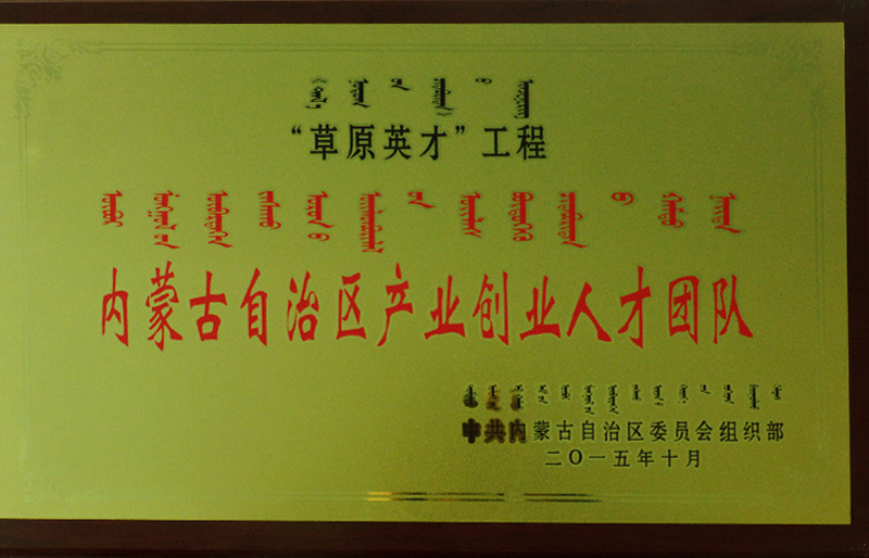 內(nèi)蒙古自治區(qū)產(chǎn)業(yè)創(chuàng)業(yè)人才團(tuán)隊(duì)