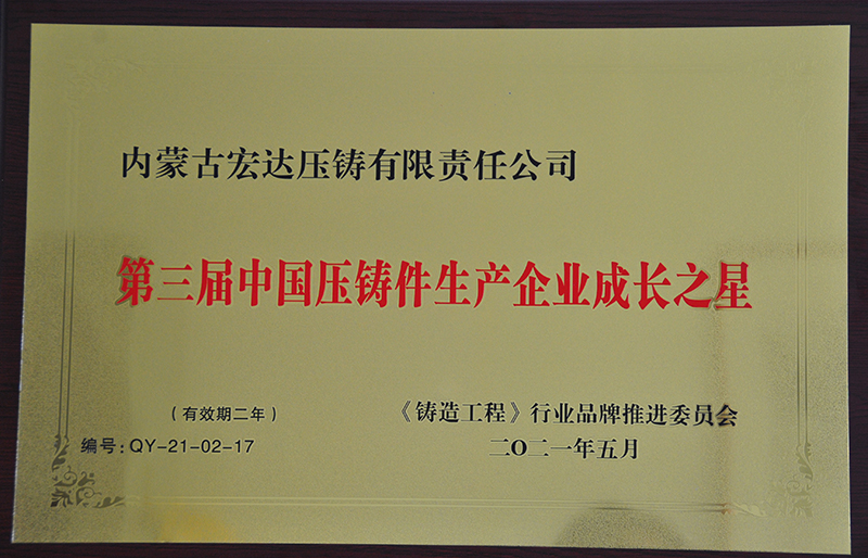 第三屆中國(guó)壓鑄件生產(chǎn)企業(yè)成長(zhǎng)之星