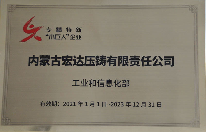 專(zhuān)精特新“小巨人企業(yè)”