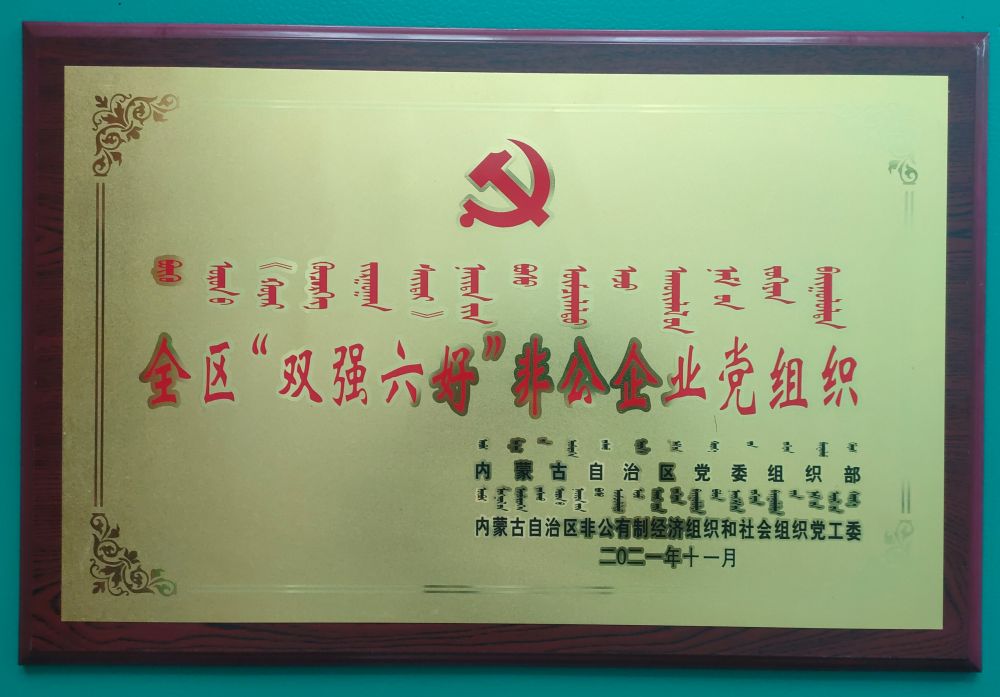 全區(qū)“雙強(qiáng)六好”非公企業(yè)黨組織